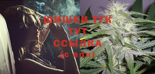стаф Богородицк