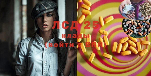мдпв Богданович