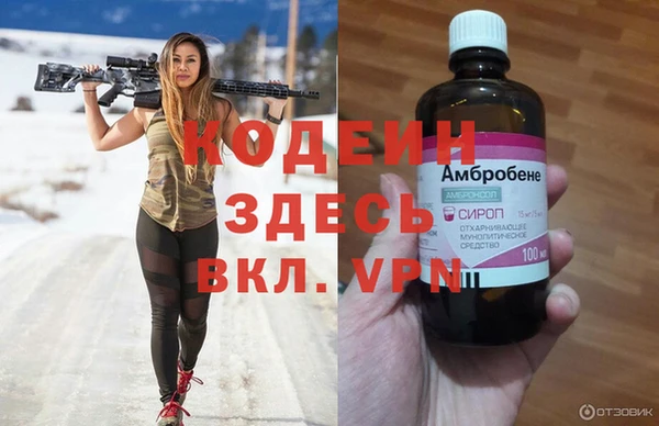 индика Сосновый Бор
